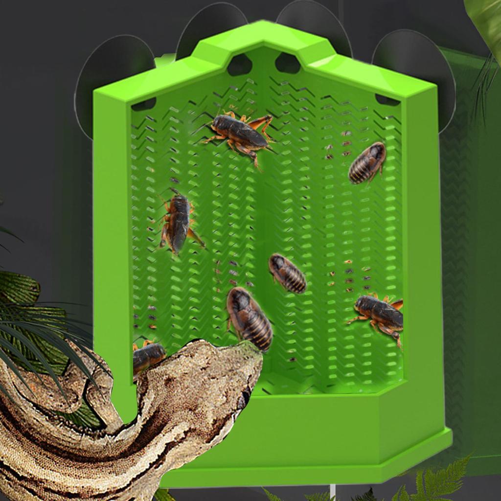Reptilnapf Frosch Futter Napf Saugnapf Gecko Futterspender Für Becken Kletter Futterspender Becken Zubehör Für Schlangen Züchter Vogel Eidechse