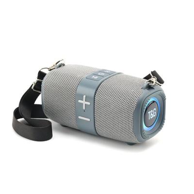 T&G TG667 Outdoor Portable Bluetooth Speaker CN Plug (adapter Included)