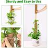 Plant Climbing Coir Totem Pole Safe Gardening Coconut Stick For Climbing Plants Vines And Creepers Plant Support Garden Supplies