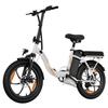 ZAZAWORK C16 City Folding Electric Bicycle 250W Motor 20 Inch Fat Tires 120Kg Load Outdoor Ride E-Bike With Tow Seat