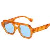 Vintage Stylish Sun Glasses for Women Double Bridge Anti-glare Sunglasses Women European American Style Men’s Sunglass