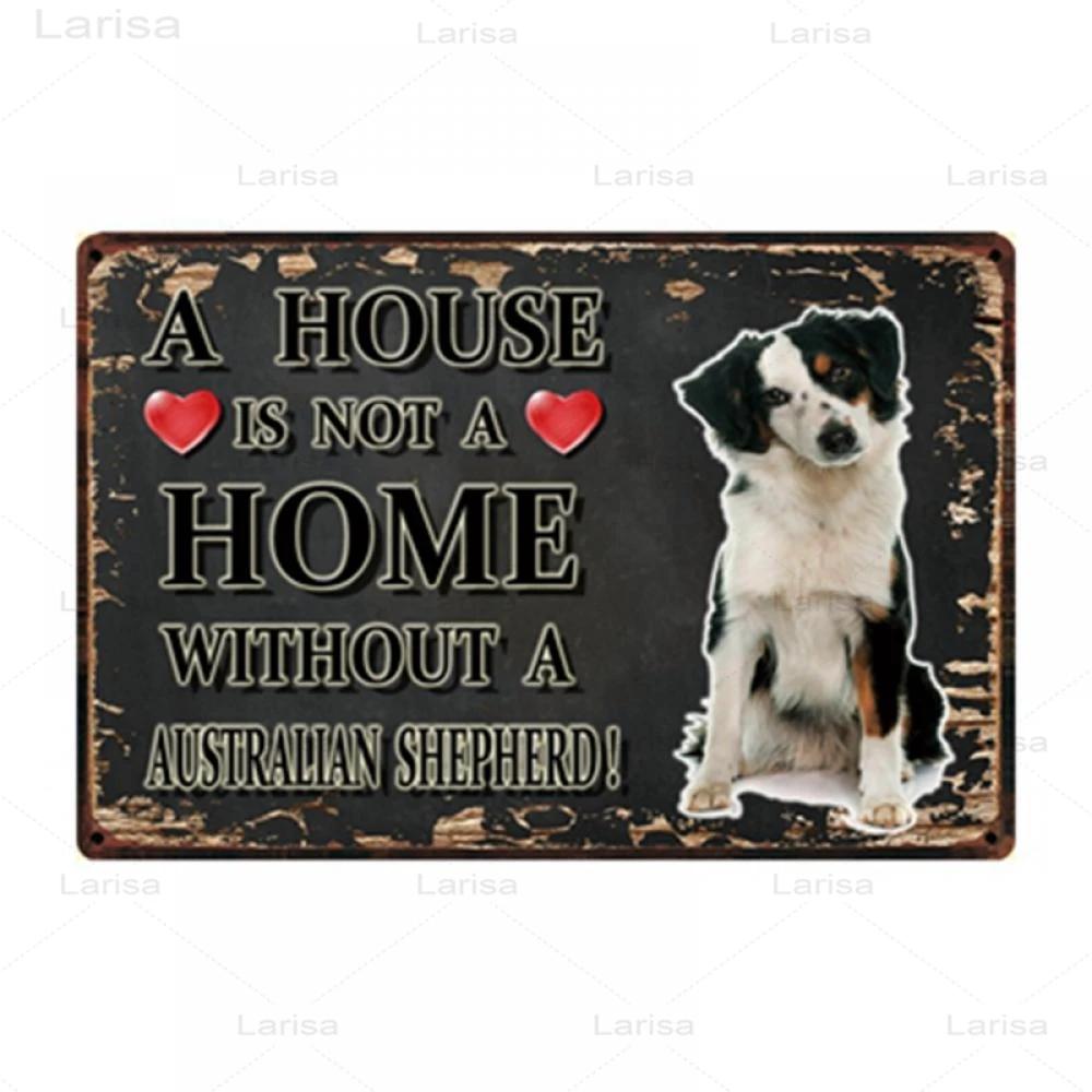 Pets Animal Dog Metal Poster Pitbull Bulldog Chihuahua Tin Sign Vintage Plate Home Decor Bar Pet Shop Wall Art Metal Painting