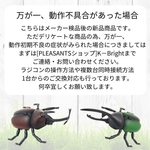 [Just like the real thing! Realistic movements!] Radio-controlled insect stag beetle set, 2 assorted species, rechargeable. [Gift/Easy to use/Compact]