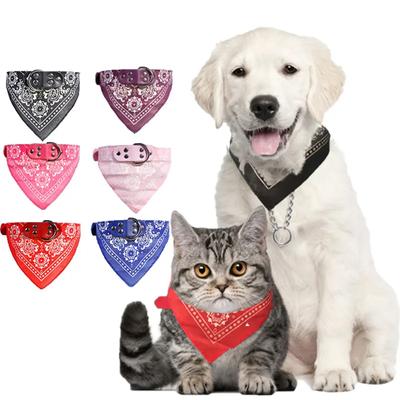 Giyim ve ayakkabı – Köpek Aksesuarları