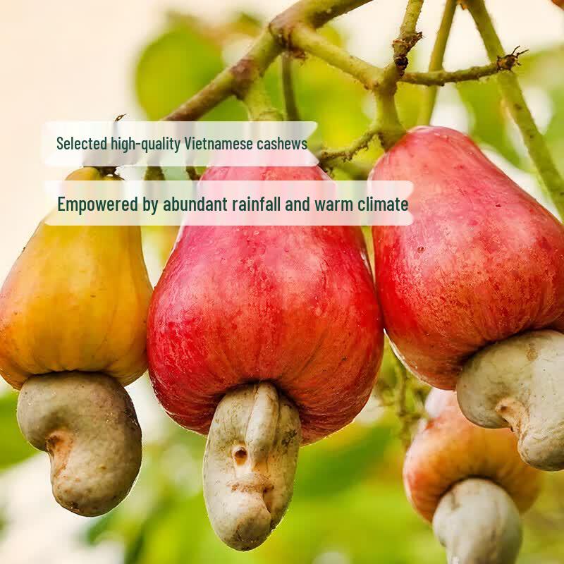Roasted Purple Skin Cashews 420g