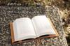 KLASSICA Classica Nicole Genuine Leather Book Cover (Sterling Size)