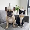 Adjustable Cat Birthday Party Hat Comfortable Fit Decorative Cat Princess Hat Star Sequins Dog Party Headband for Cats and Dogs