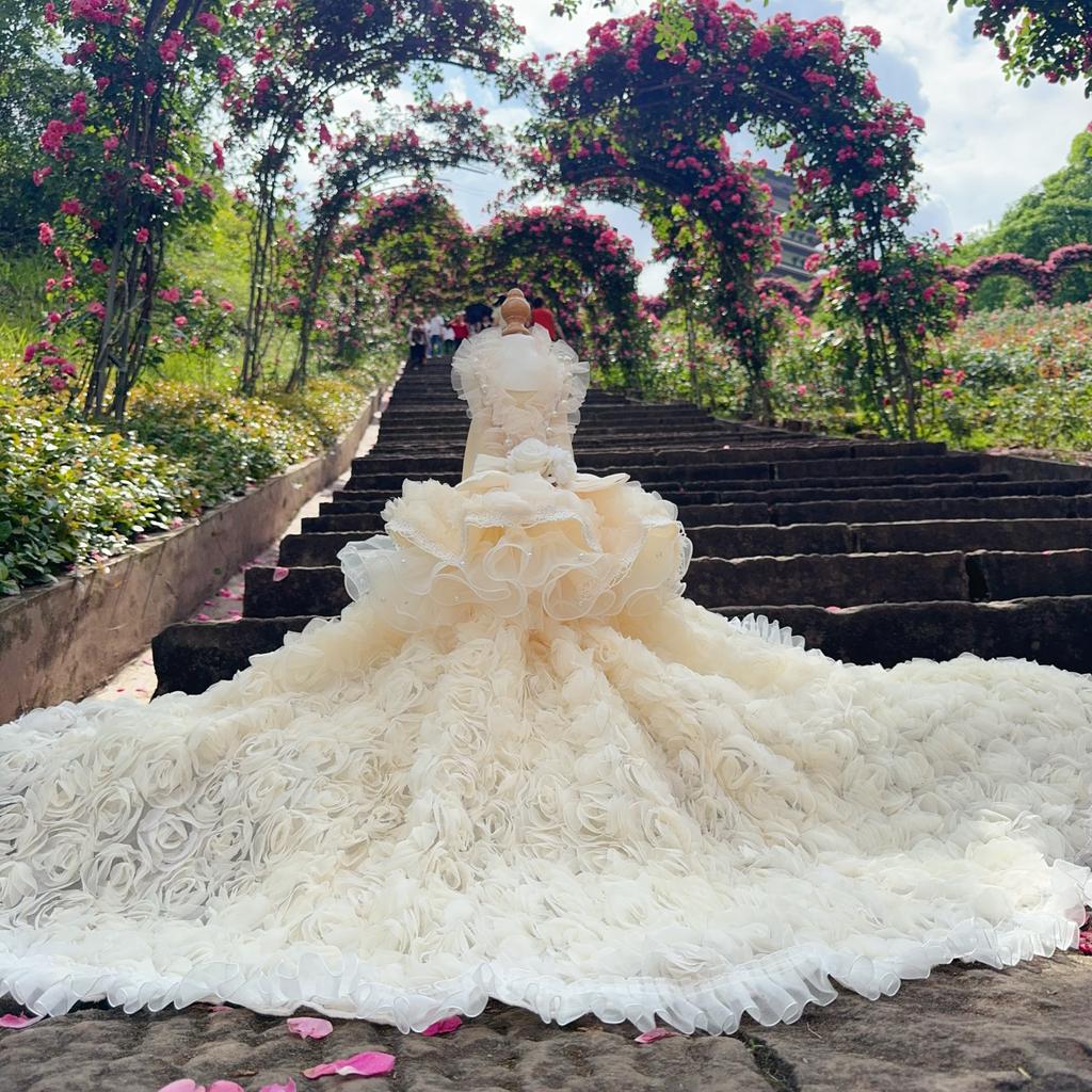 High-end Luxury Puppy Photography Skirt Pet Dog Clothes Handmade Roseflower Lace Long Tail Princess Dress For Small Medium Dog