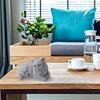 Stampo in Silicone Gatto Sdraiato 3D, Stampo per Artigianato Decorativo Carino per Candele Profumate Fai-da-te, Sapone, Stampo a Forma di Gatto per Decorazioni per la Casa