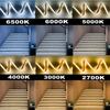 Dimmbare 3-Farben CCT COB LED-Streifenleuchte 24V 8mm 10mm Breite 2700K bis 6500K Farbwechselndes LED-Band Linear Doppelfarbe RA90