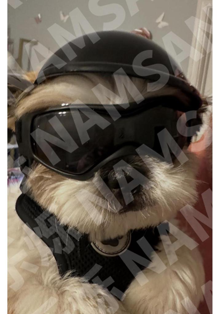 Pet Motorcycle Safety Helmet with Goggles for Cats & Dogs - Outdoor Riding Gear