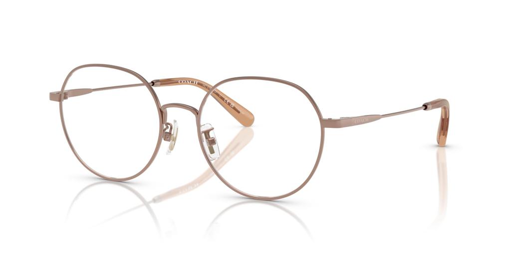 Glasses HC5180TD 9414 53 [Coach] Women's