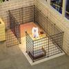 Indoor Pet Gate for Small Dogs: Teddy, Bichon Frise, Corgi, and Chihuahua