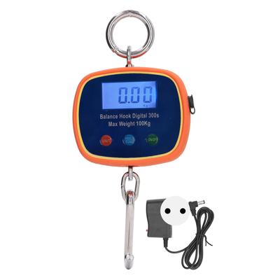 Bilancia Digitale a Gancio Display LCD Mini Portatile Manuale Bilancia a Sospensione Gru Peso Massimo 100Kg