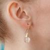 FINDELISE Crystal Hook Earrings