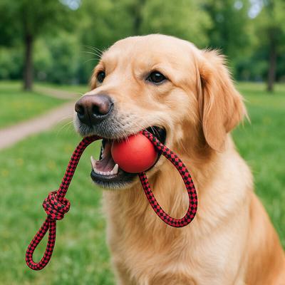 Dog Rope Ball Toy Dog Training Tug Ball 6cm