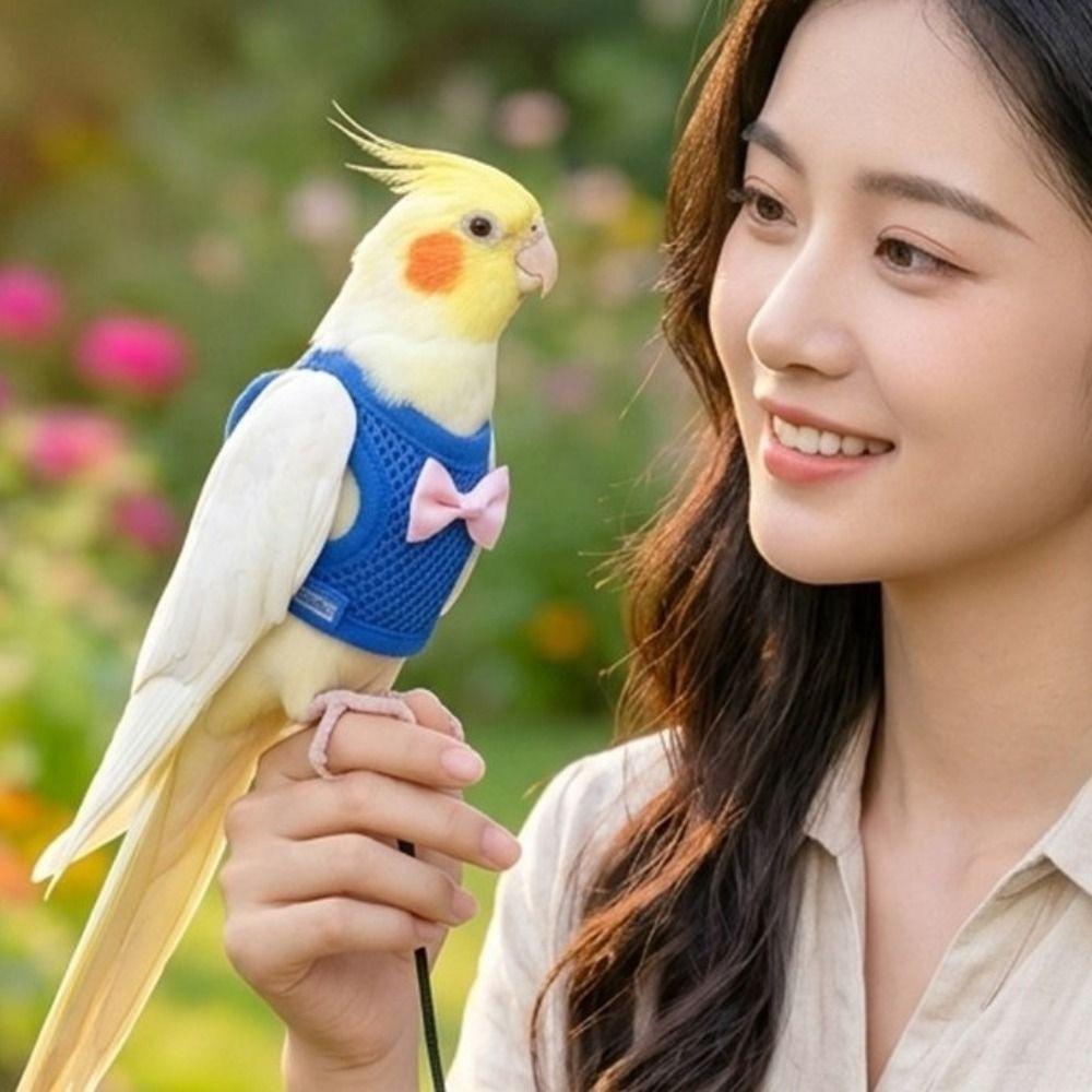 Breathable Parrot Flying Harness Safety Parrot Flight Suit Bird Chest Strap  Outdoor Training