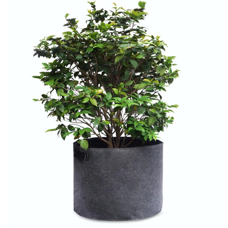 Breathable Fabric Root Control Plant Grow Bags