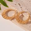 Geometric Circle Silver Needle Ear Ring Earrings Real Gold Electroplating Niche Premium Earrings