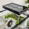 Turtle Topper Basking Platform Adjustable Height Hanging Turtle Basking Land with Ramp Transparent Aquarium Turtle Resting Tank