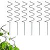 Latest Spiral Tomato Pile Butterfly Orchid Fixed Rod Climbing Iron Art Support Metal Flower Frame Garden Plant Bracket