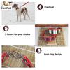 Pet Reflective Collar Leash Gree Greyhound Whippet Thin Dog Canvas Luminous Collar for Small/Medium/Large Dogs