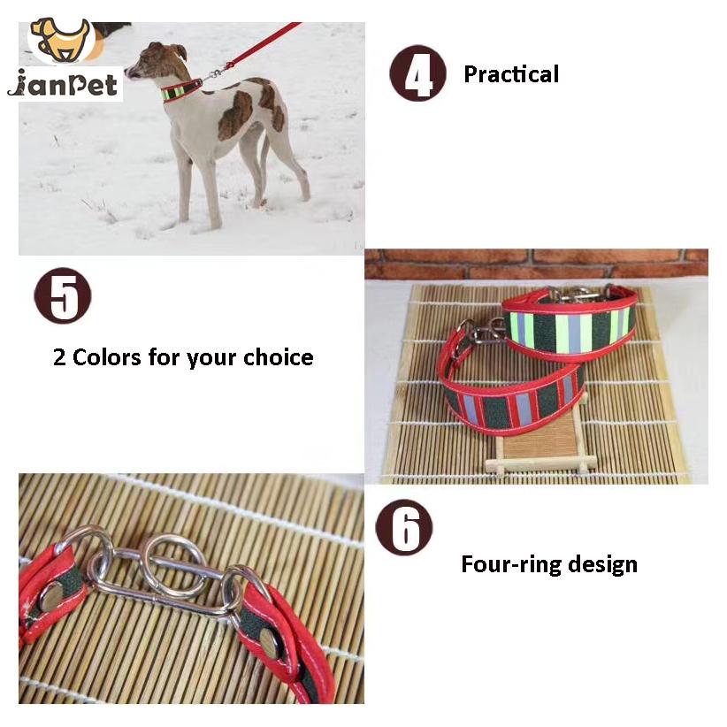 Pet Reflective Collar Leash Gree Greyhound Whippet Thin Dog Canvas Luminous Collar for Small/Medium/Large Dogs