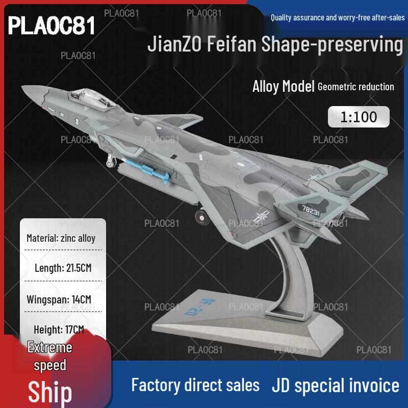 J-20 Fighter Jet Diecast Model