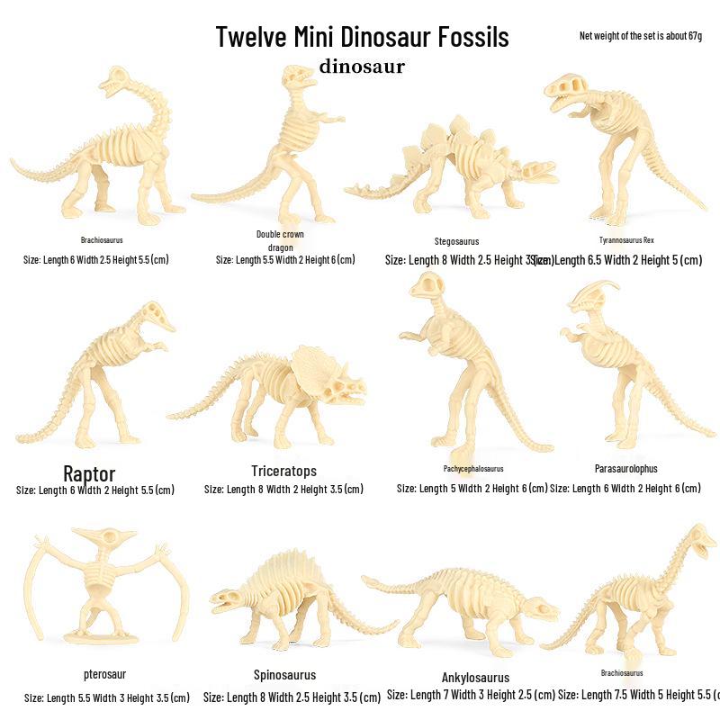 Jurassic Dinosaur Fossil Model Toy Set: Pterodactyl, Brachiosaurus, T. Rex & Stegosaurus Skeletons for Kids