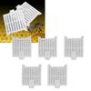 10PCS Queen Bee Catcher Cage Plastic Transparent Multifunctional Queen Bee Catching Box for Beekeeping Tools