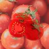 Kitsch Mood Hair Clip Tomato