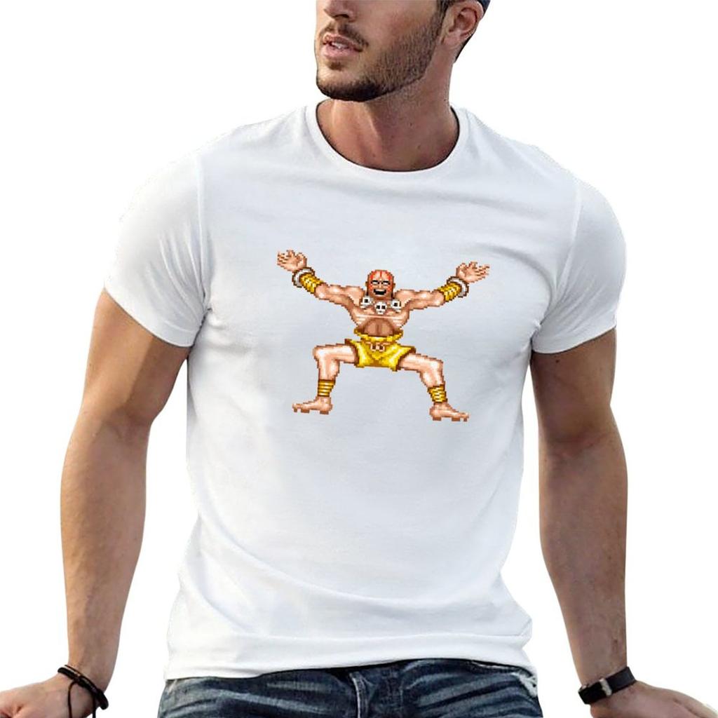 Dhalsim Wins TShirt Funny TShirt Quick Drying T Shirts Unisex