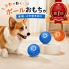 Köpek – Köpek oyuncakları