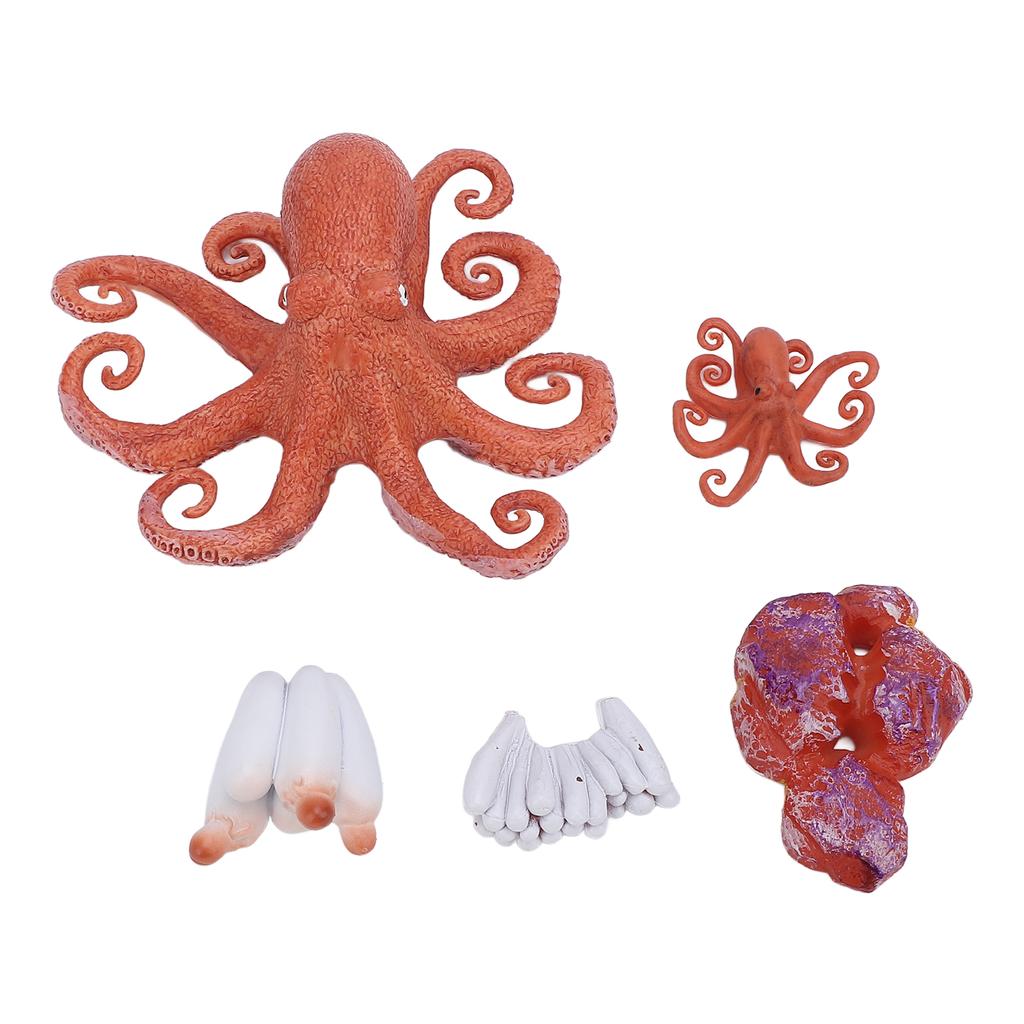 5Pcs Octopus Figurine Toy Educational Simulated Octopus Life Cycle Learning Toy Sea Animals Figurine