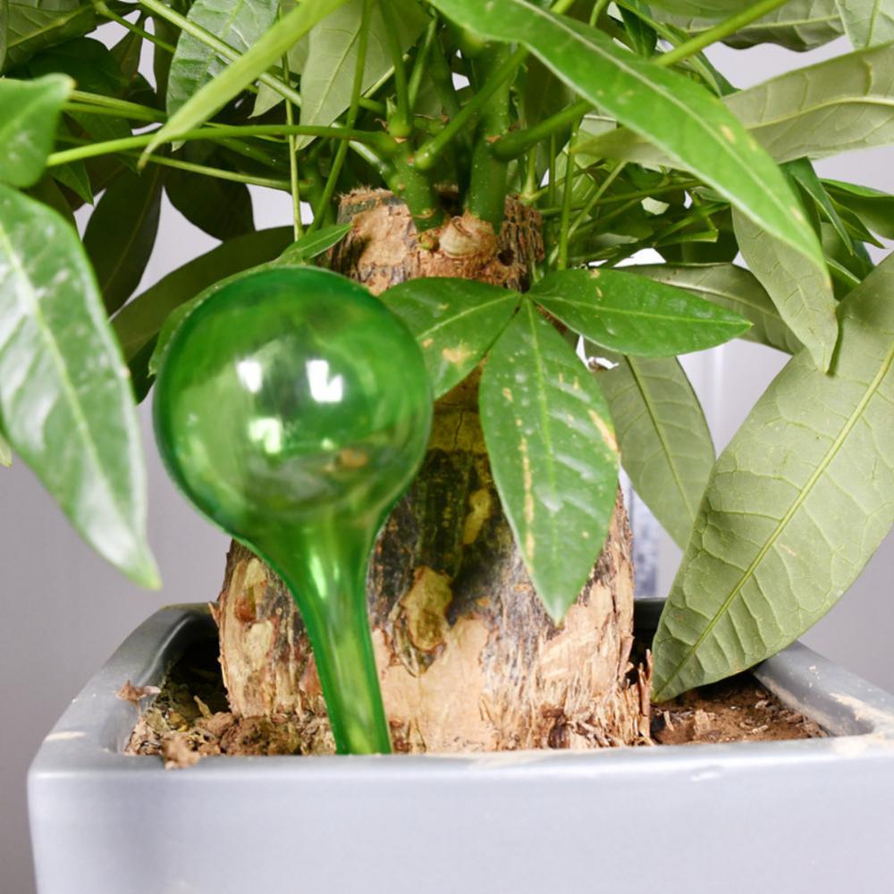 105mm Clear Glass Tube Oil Nail Glass Oil Burner Thick Glass Oil Burner Tube Watering Can Gardening Plant Mister