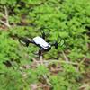 LF606 Mini Drone with Camera Altitude Hold RC Drones with Camera HD Wifi FPV Quadcopter Dron RC