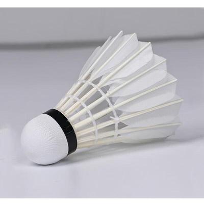 Badminton – Volantes