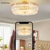 Luxury French Ceiling Lamps Living Room Chandelier Romantic Bedroom Ceiling Lamp Dining Table Decor Hanging Light Lustre Fixture