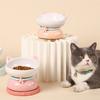 Cat Bowl Tilted Water Food Bowls For Small Dogs Raised Cats Pet Bowls Feeding Bowl Feeder Kitten