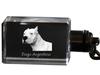 Dogo Argentino - Crystal Key Ring with Dog Photo, Illuminated Key Ring, Unique Gift by Art-Dog Brand