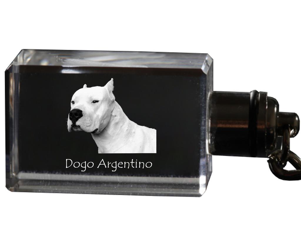 Dogo Argentino - Crystal Key Ring with Dog Photo, Illuminated Key Ring, Unique Gift by Art-Dog Brand