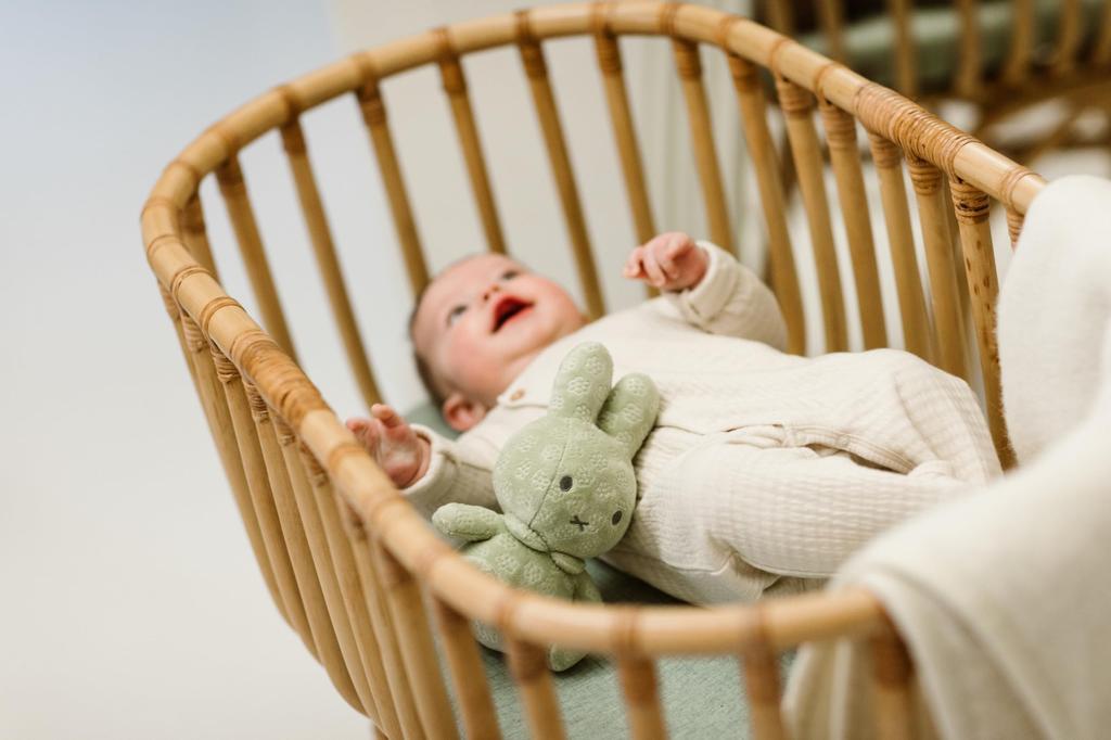 Little Dutch Miffy Flower Plush Toy, 20cm, Matcha Green, Miffy's First Toy, from Birth, TYLITNIJN886