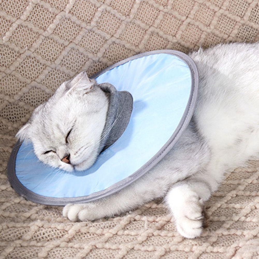 Anti-Slip Pet Cone Collar Protective Pet Recovery Cone Cat Anti-licking Circle  for Wound Heal