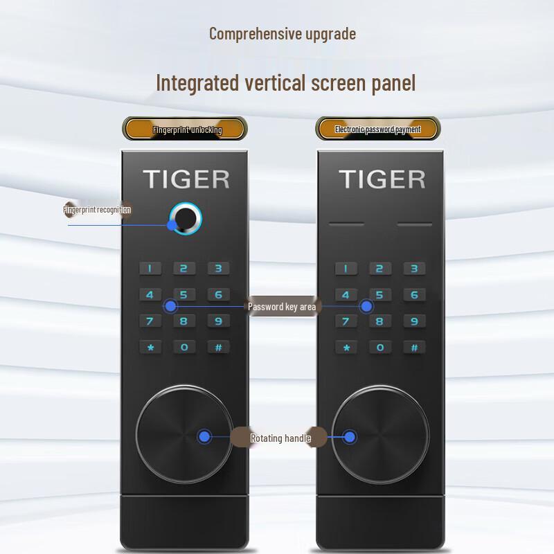 Tiger Boyue 45cm Fingerprint & Password Anti-theft Safe