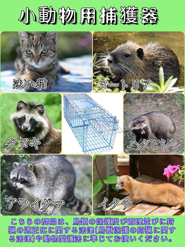 ONESORA Katzen Tierfalle mit Einfach und Schützt Streuner und Verlorene Verhindert Schädlingsbefall an Ernte und Fängt Maskenpalmen und Marder x x Zoll x 18 x 21