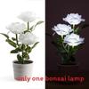 Solar Rose Garden Led Lamp With 3d Illumination For Patio And Garden Decor