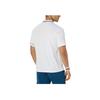 Asics Color Block Striped Half Button Short Sleeve Polo Shirt Men tops White 2041A287-100