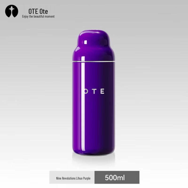 OTE Tea Infuser Insulated Water Bottle