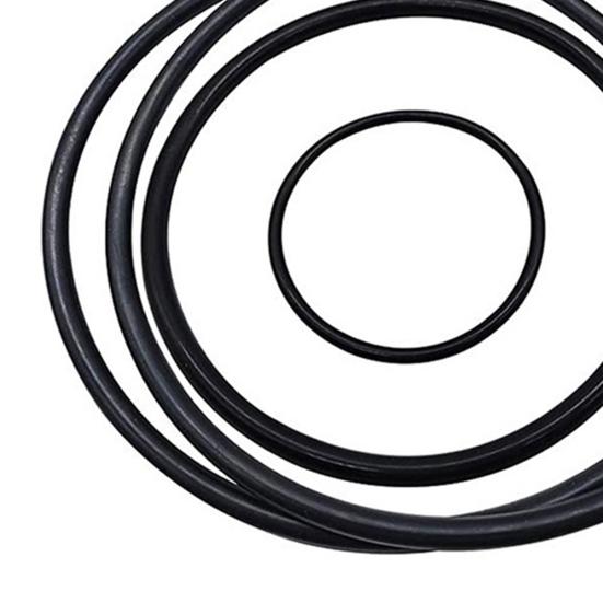 25013 O-Rings Gasket Kit L-Shape O-Rings with Air Release Valve Repair Seals Set Replacement for Pool Sand Filter Pumps