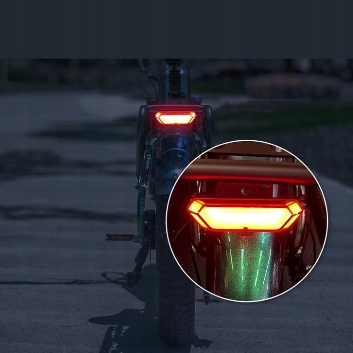 Vélo électrique - FAFREES - F20 Master - 45 KM/H - 22.5 Ah - 500W - 20 pouces noir